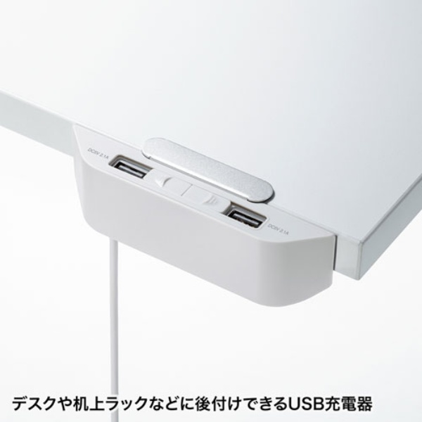 USB充電器(2ポート・合計4.2A・デスク設置タイプ)【ACA-IP66】