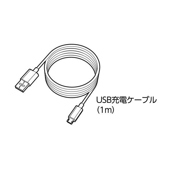 電ドラボール(ビット1本付属)【560071-NO.220USB-1】