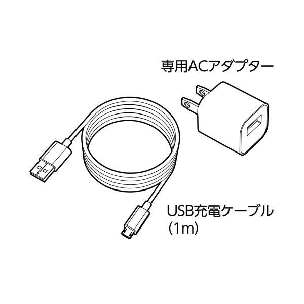 電ドラボール(ビット5本付属)【NO.220USB-5】