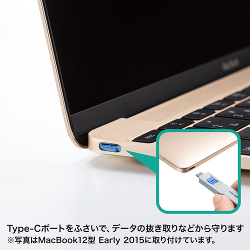 TypeCポート取付けセキュリティ(eセキュリティ)【SLE-46S-BL】