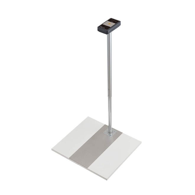 Amazon.com: Genuine GM 20843106 Rear View Mirror, Outside