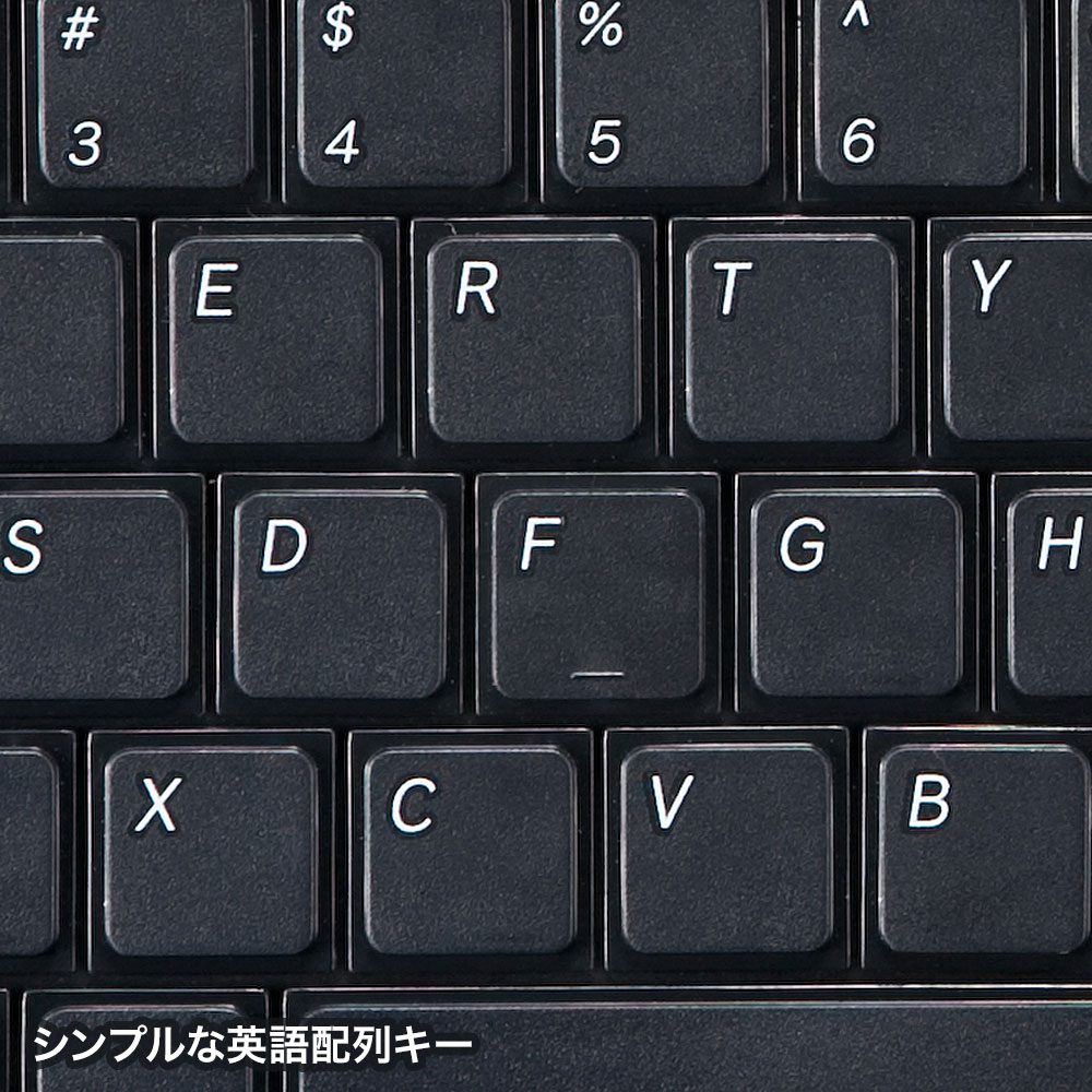 本物 サンワサプライ 英語USBキーボード ブラック SKB-E5UBK