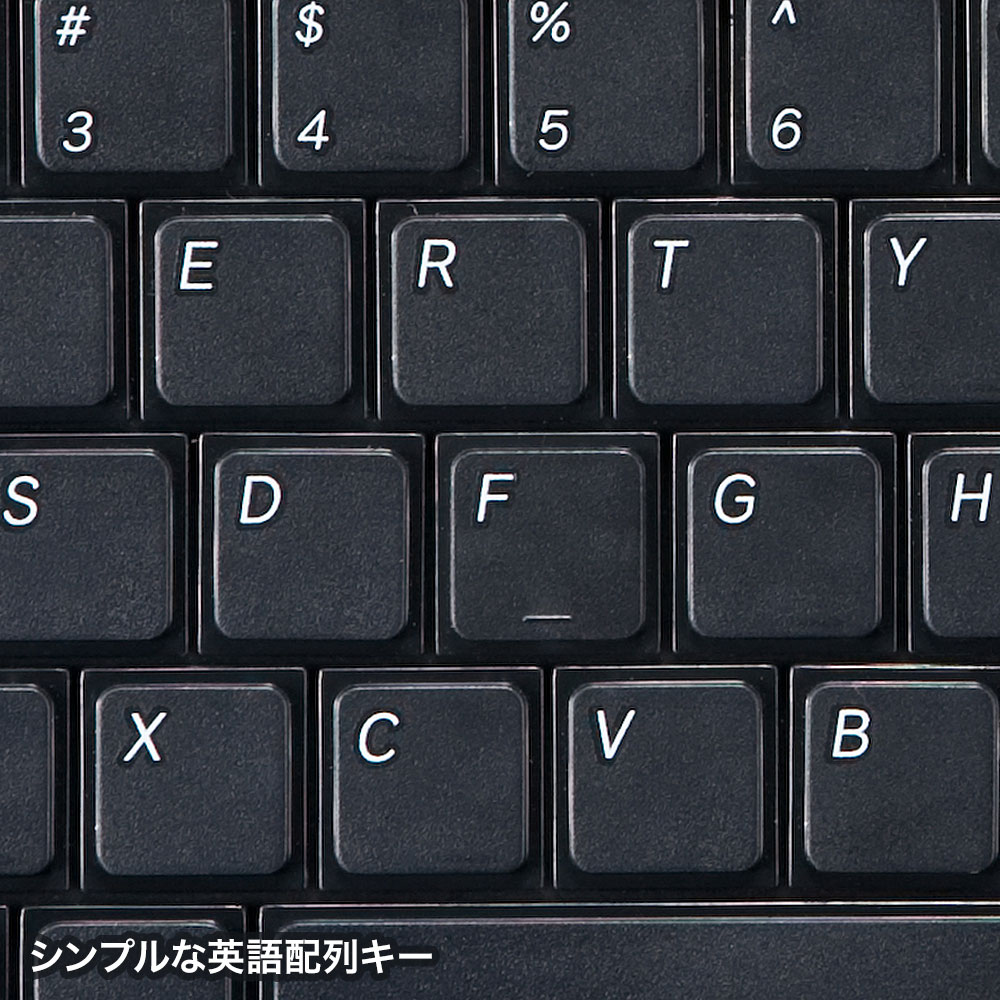 USBスリムキーボード テンキー付き99キー 英語配列【SKB-E2UN】
