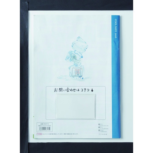 粘着式 簡易見出しケース 55×91MM(名刺サイズ) 10枚入り【TPP55X91】