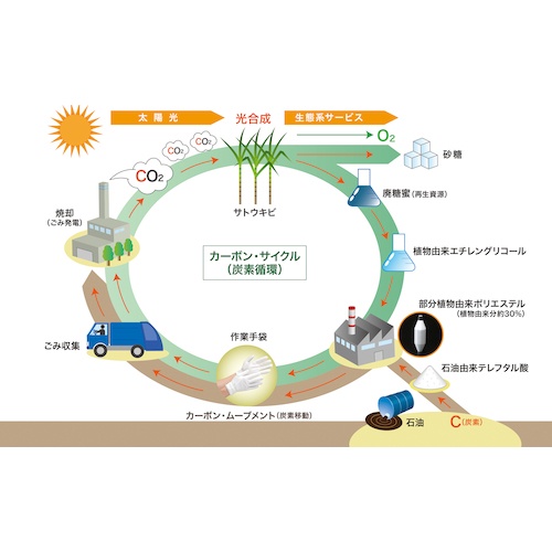 ミドリ安全 プランテックスグローブ スムス ゴム入り LLサイズ【PLANTEX-SUMUSU-GOMUIRI-LL】