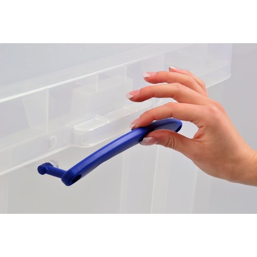 RUP 収納ケース オーガナイザー 0.3L×0.2L クリア【0.3+0.2ORGC】