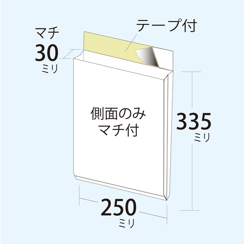 キングコーポ ポストイン定形外 白 10枚パック片艶晒クラフト 100g/m2【POSTINK10】