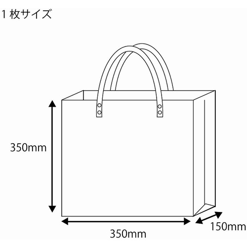 シモジマ 透明バッグ 中【006464030】