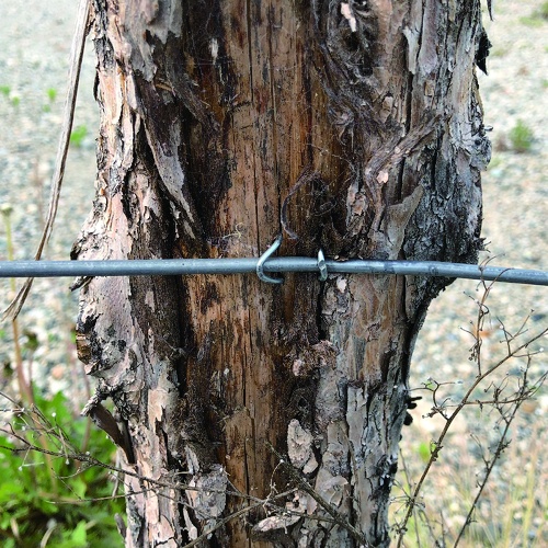 ダイドーハント VP 又釘 1.2x19 200g(約530本)【10175286】