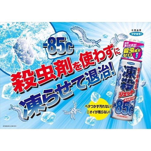 フマキラー 殺虫スプレー 凍殺ジェット300ml【429480】