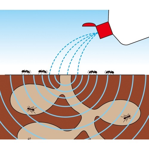 フマキラー アリ用殺虫剤 巣のアリ退治 液剤800ml【424317】