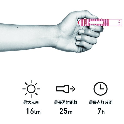 LEDLENSER 懐中電灯(LED) P2【8402】