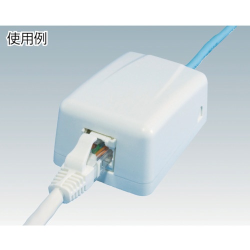 コーニング Cat6 RJ45モジュラージャック露出型アウトレットセット 2ポート【VOL-SMB-2TK6】