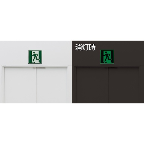 緑十字 蓄光式避難誘導ステッカー標識 非常口 蓄光E 480×480mm エンビ ドア用【069005】