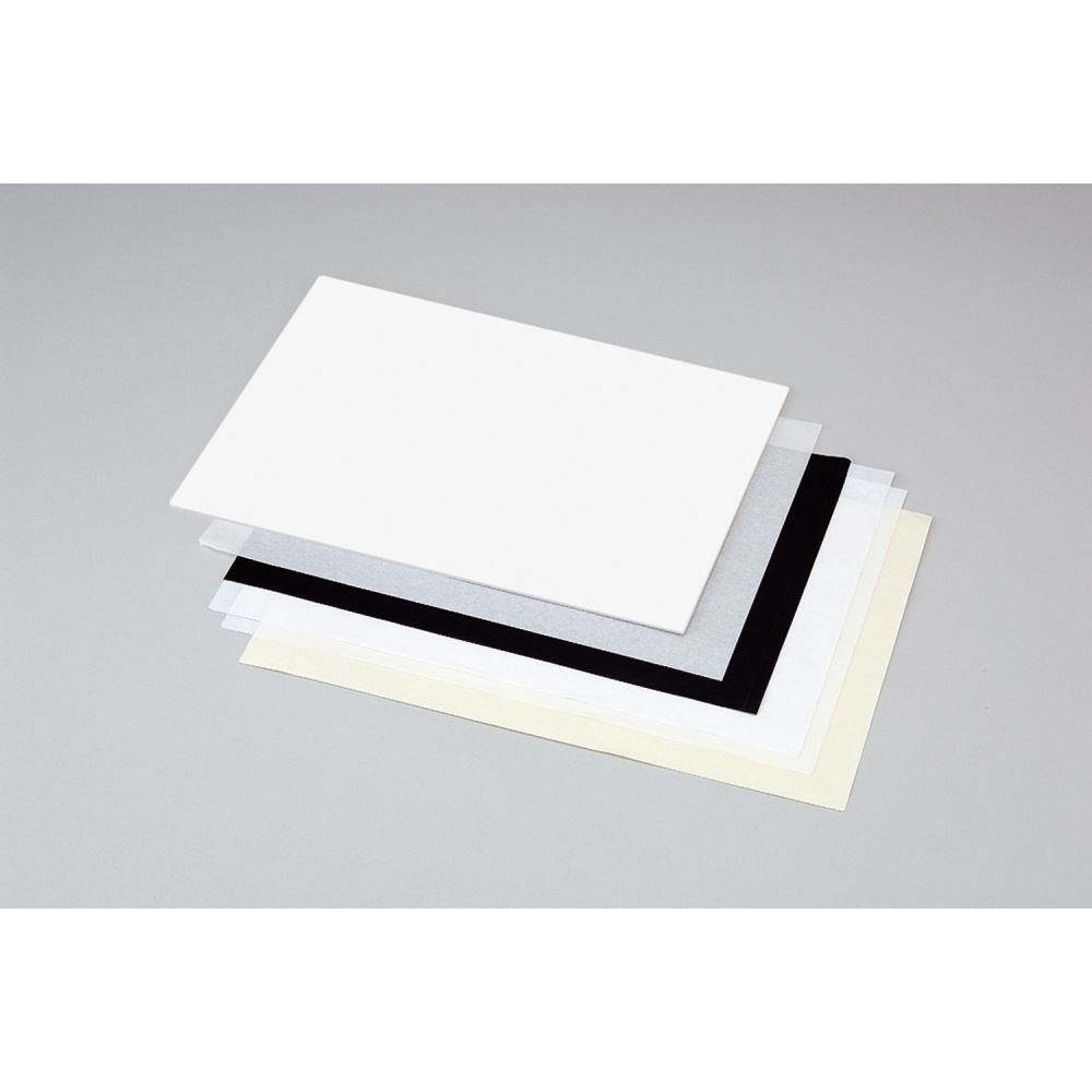 ボールペン版画 8切【20243】