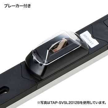 19インチサーバーラック用コンセント(30A)【TAP-SVSL3024B】