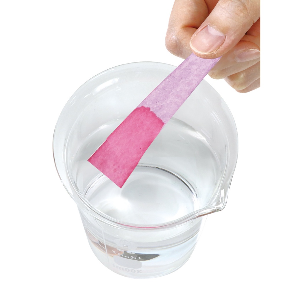 不思議な粉でつくるリトマス試験紙キット【55938】