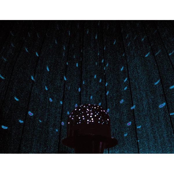 プラネタリウムの製作【56995】