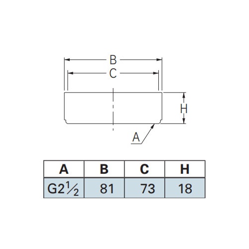 65A/G 2・1/2インチ(内ねじ)防虫目皿【EA468DF-3】