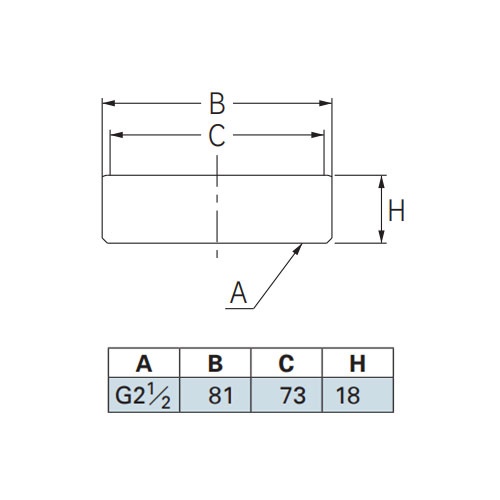 65A/G 2・1/2インチ(内ねじ)目皿【EA468DH-13】