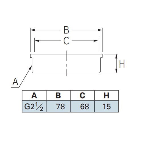 65A/G 2・1/2インチ(外ねじ)目皿【EA468DH-23】