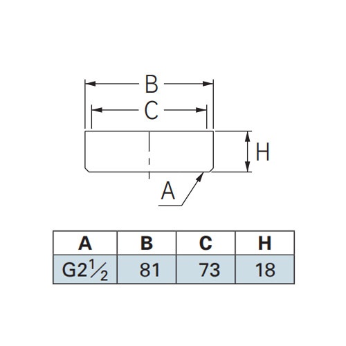 65A/G2・1/2インチ 掃除口(内ねじ)【EA468DK-23】