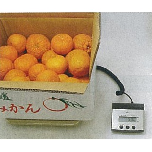 100kg(500g)デジタル台はかり【EA715SE-1】