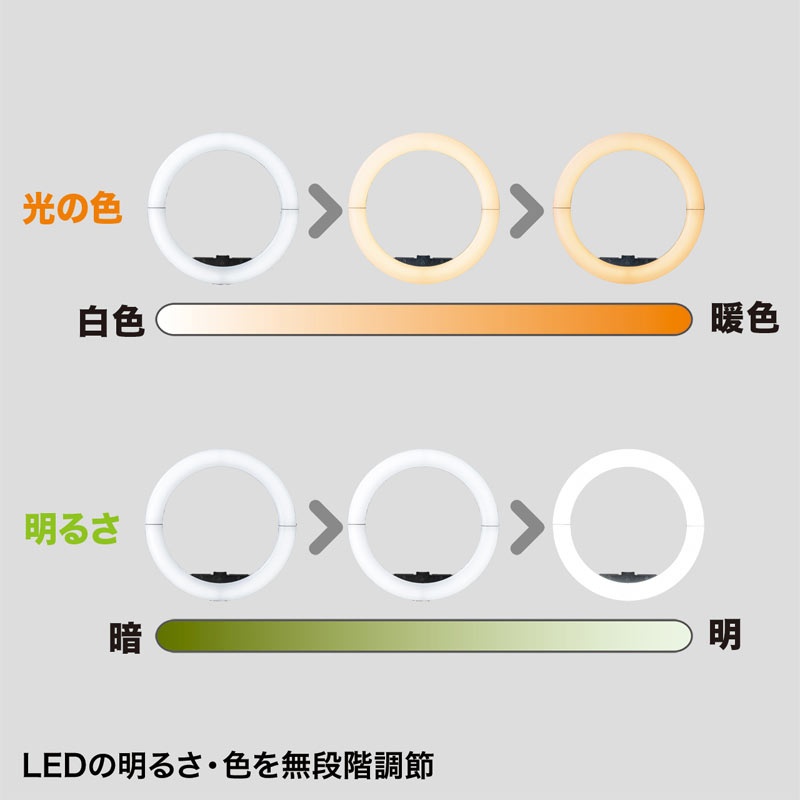 LED照明灯(スタンド付/WEBカメラ用)【EA761XL-17】