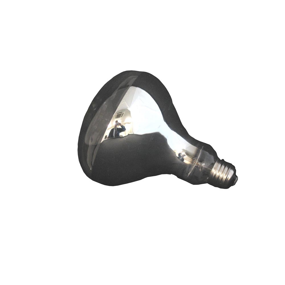 AC100V/500W レフ電球【EA814DF-105】
