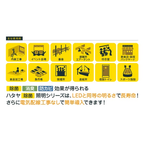 AC100V/11W 照明灯/電球型蛍光灯(除菌/屋内)【EA815LB-41】