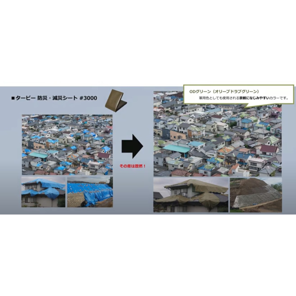 3.6× 5.4m OD色シート(#3000)【EA915BB-31】