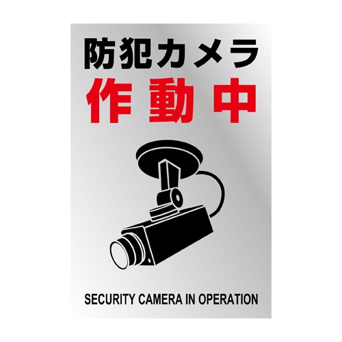 220x150mm 防犯用ステッカー(防犯カメラ/2枚)【EA983TS-47】