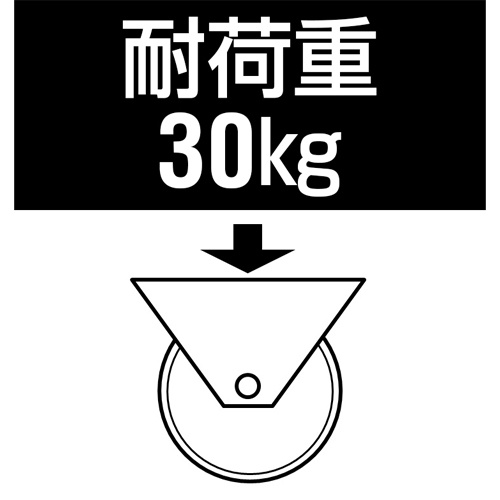50mm キャスター(ツインホイール/自在/クリーニング機能)【EA986TH-1】