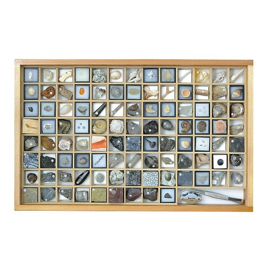 化石標本 100種 3-654-06 -製｜電子部品・半導体通販のマルツ