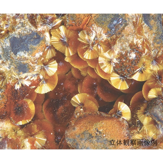 LEDズーム実体顕微鏡 SZM223B【3-6690-01】