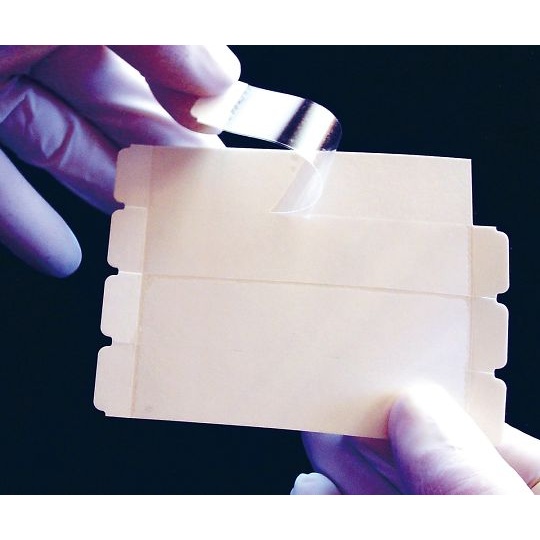 プレートフィルム SPS-2X8-50【3-9133-02】