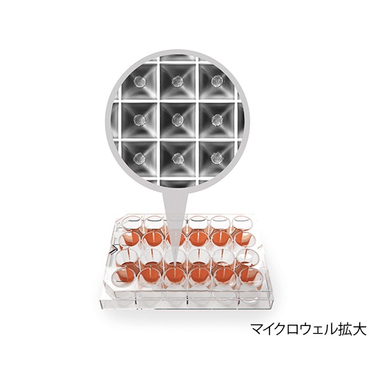 SPHERICALPLATE5Dプレート【4-1318-01】