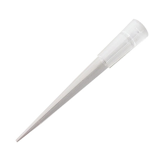 MS-T-200-2R MSITチップ【4-2621-08】