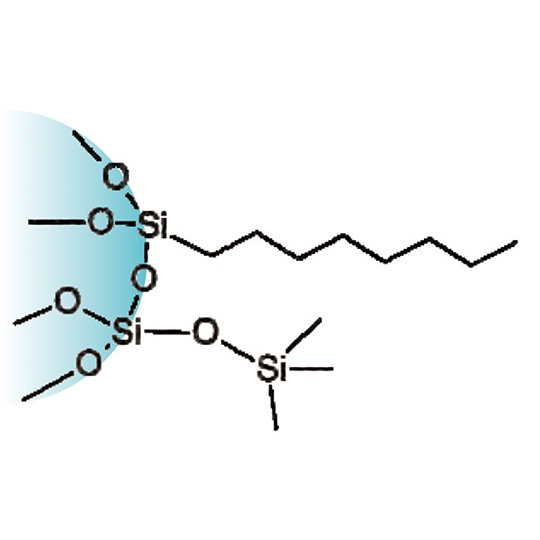 C8-100-1 固相抽出カラム【4-3051-01】