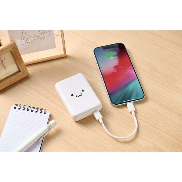 超コンパクトモバイルバッテリー(10000mAh/3A/USB Type-C×1)【DE-C49-10000WF】