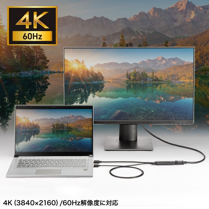HDMI-DisplayPort変換アダプタ(4K/60Hz)【AD-HD31DP】