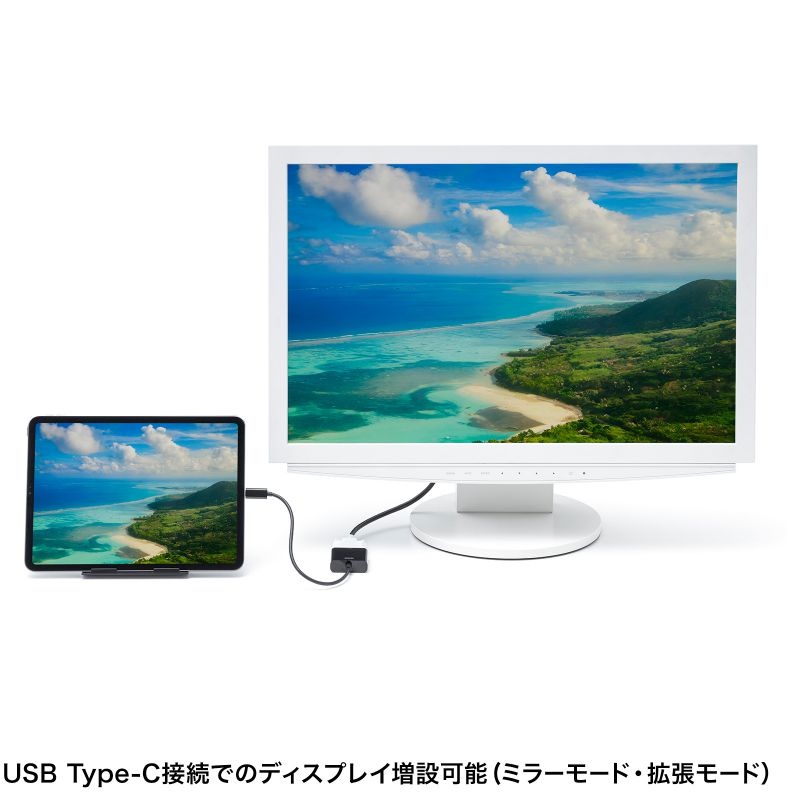 USB Type C-DVI変換アダプタ【AD-ALCDV】