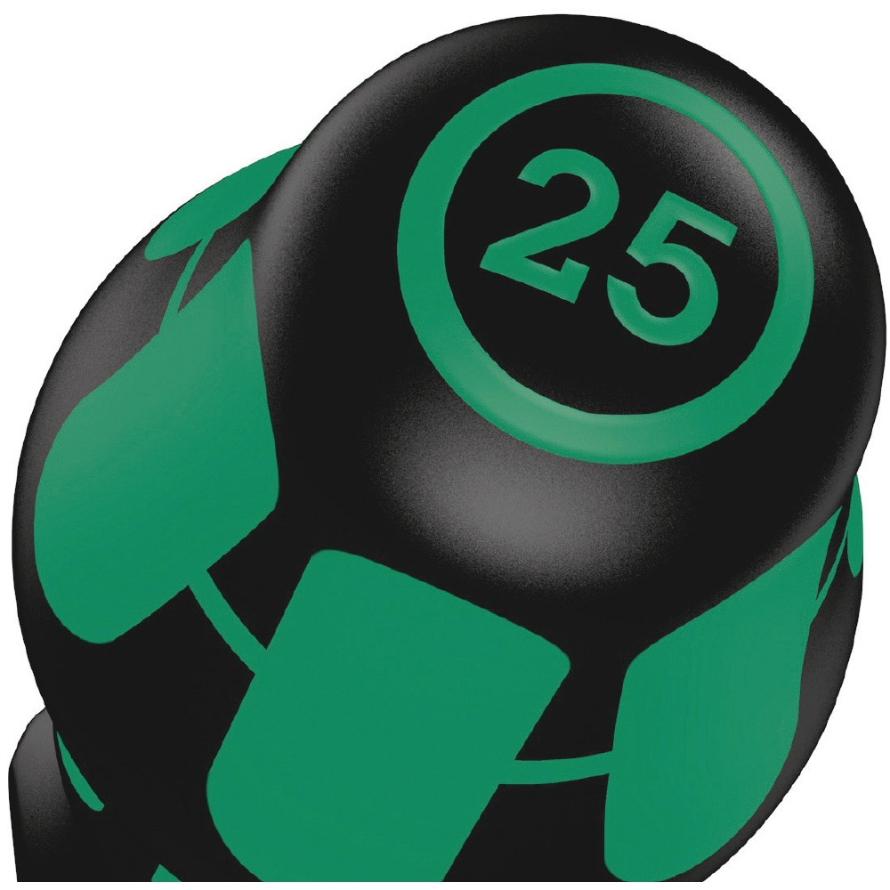WERA ヴェラ Kraftform Plusハンドル Torxトルクスドライバー 先端サイズTX30 軸長115mm【100064】