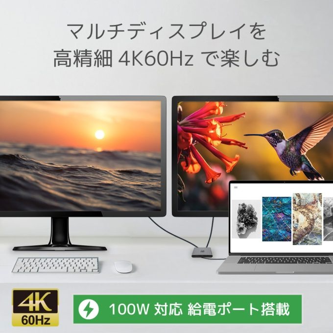 USB Type-C to デュアルHDMIディスプレイアダプター(PD対応)【RS-UCHD2-PD】