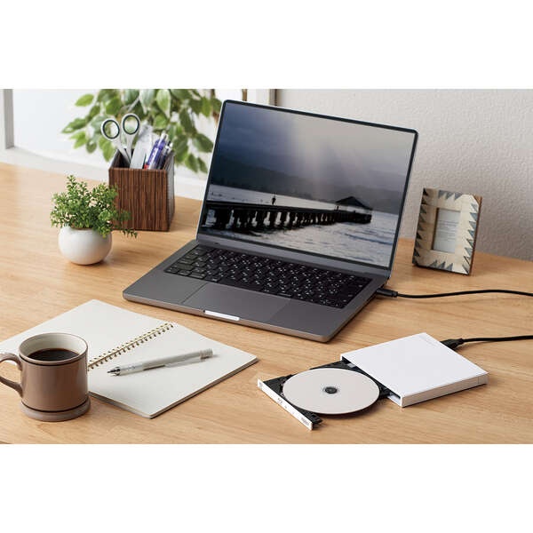 USB Type-C(TM)/USB-A対応 ブルーレイドライブ【LBD-PWC6U3CVWH】