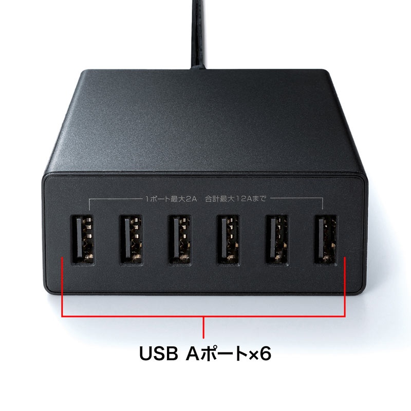 USB充電器(6ポート/合計12A/ブラック)【ACA-IP67BK】