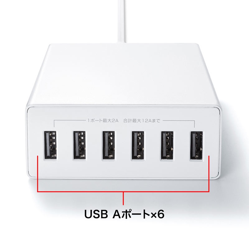 USB充電器(6ポート/合計12A/ホワイト)【ACA-IP67W】