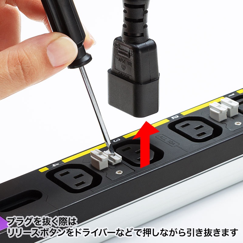 19インチサーバーラック用コンセント 200V(30A)【TAP-SV23012C19LKN】