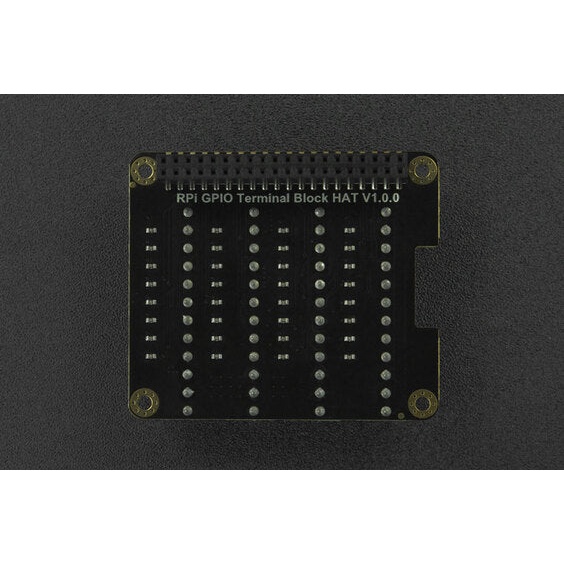 Raspberry Pi 4B用GPIO ターミナルブロックHAT【DFROBOT-DFR0918】