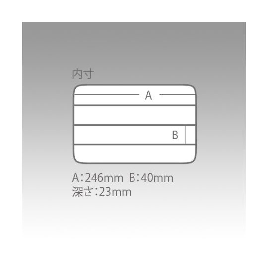 分別クリアケース 255×190×28mm C-1200NS【C-1200NS】